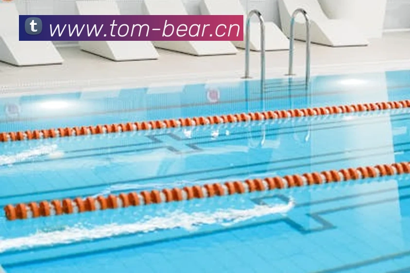 App Interface Preview